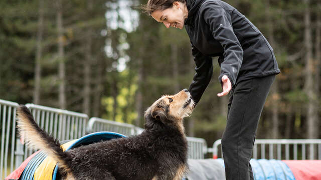 CANIFUN, LE WEEK-END DU CHIEN - 4ÈME ÉDITION