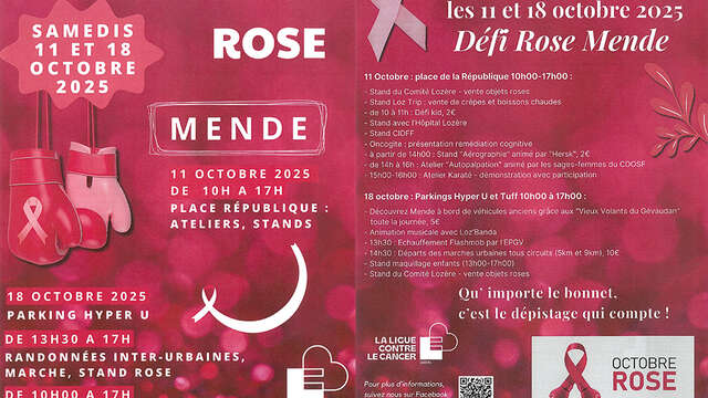 DÉFI ROSE
