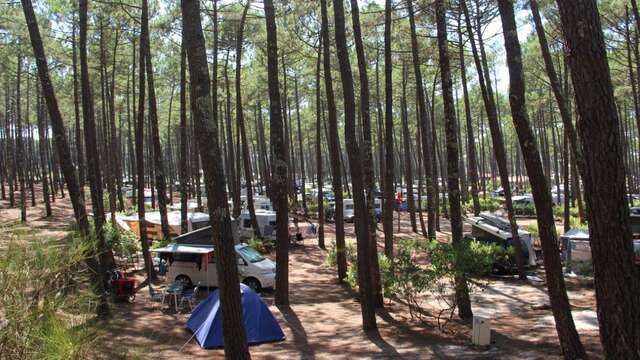 Camping Municipal du Cap de l'Homy