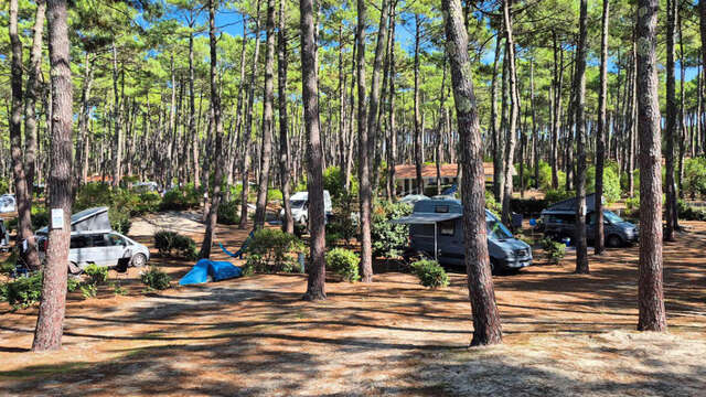 Camping Municipal du Cap de l'Homy