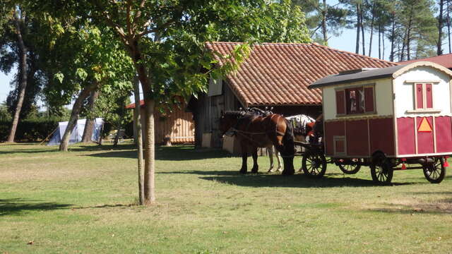 Camping Lassalle