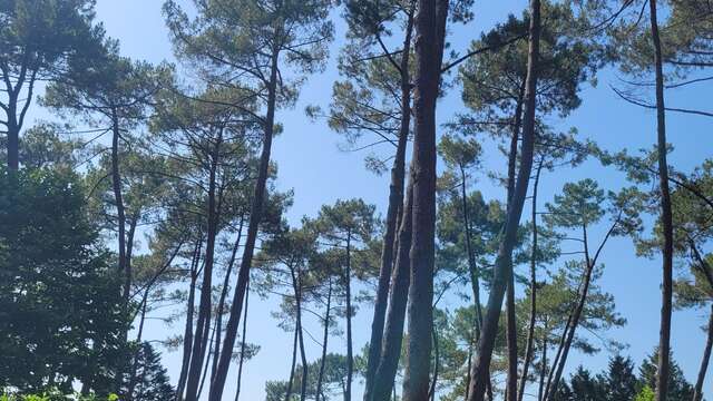 Camping Le Pont Noir