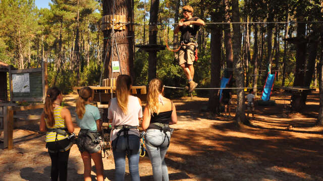 Jungle park
