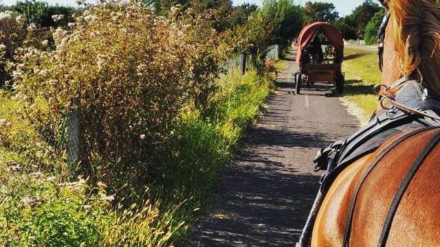 Le Ranch : La Roue Libre 40