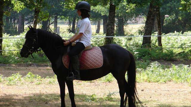 Poney club du Grand Lio