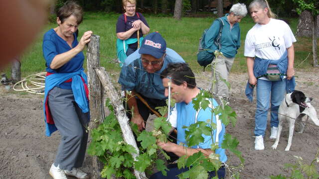 Domaine de Montgrand