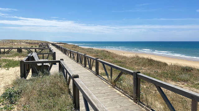 Belvédère du Cap de l'Homy