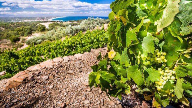 DOMAINE SAINT THOMAS
