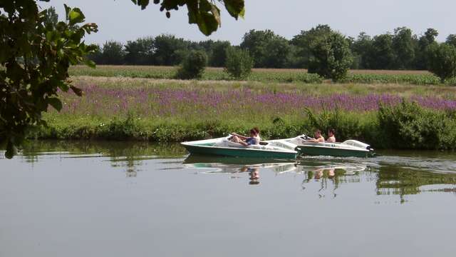 Location de canoë, kayak et paddle