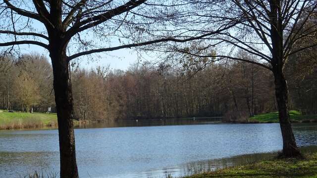 PLAN D'EAU DE BAUGÉ