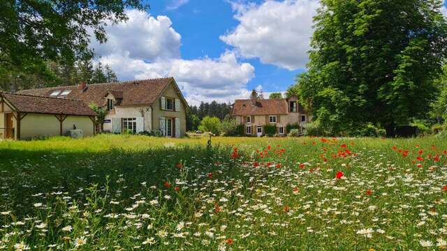 Moulin de Crouy