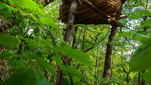 Vit tel ta nature