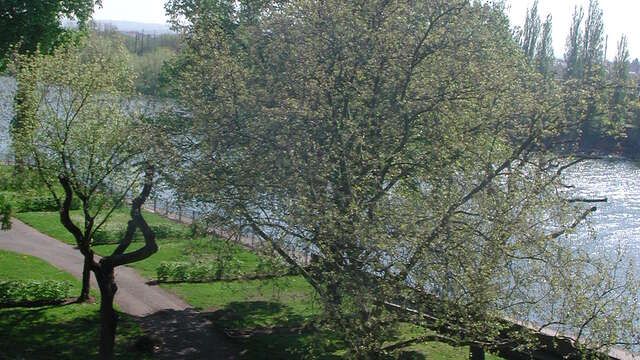 Städtischer Campingplatz Parc Napoléon