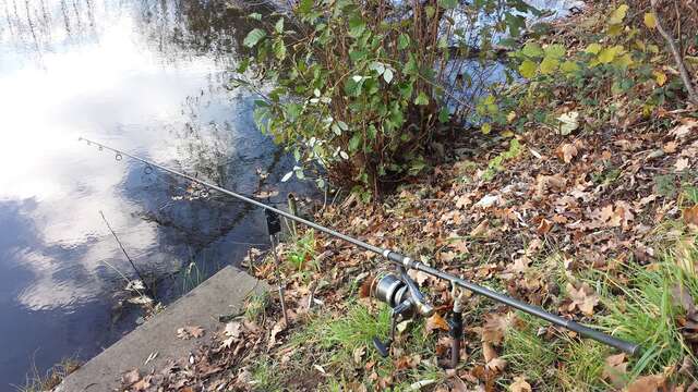 Domaine de Kiesbruck