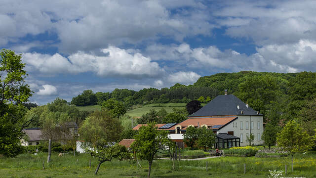 MOULIN DE BUDING