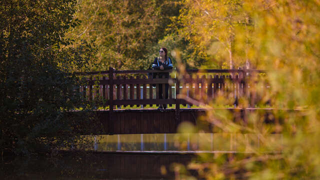 Parc de la canner