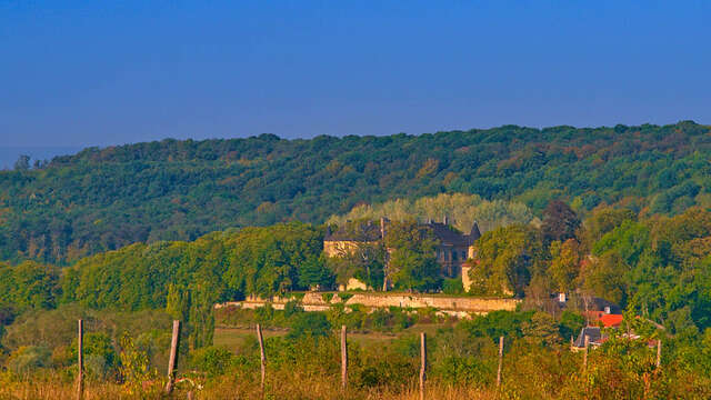Château de Hombourg-Budange