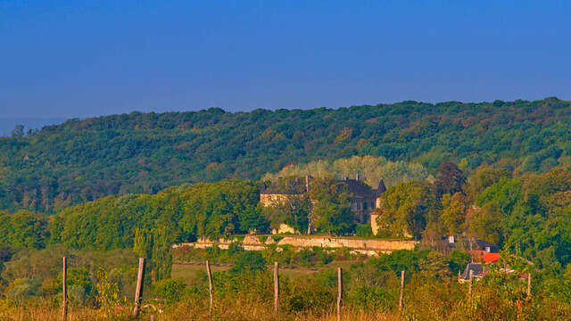 Château de Hombourg-Budange