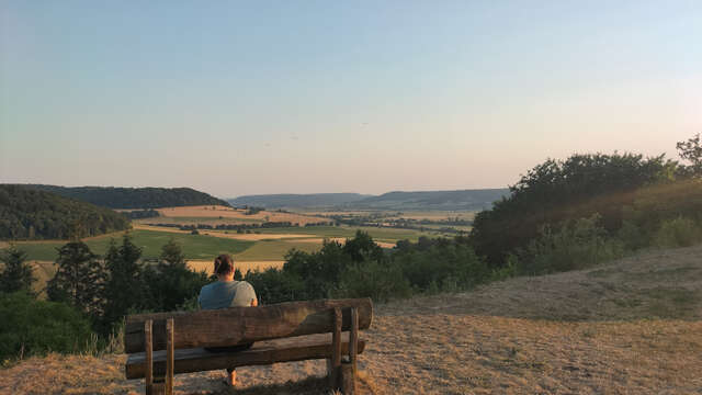 Le plateau de Beauregard à Maxey-sur-Meuse