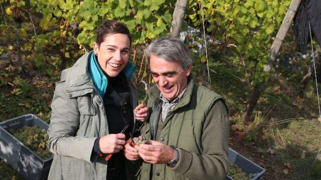 Domaine Mur du Cloître