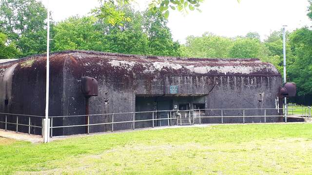 PETIT OUVRAGE DU BOIS KARRE