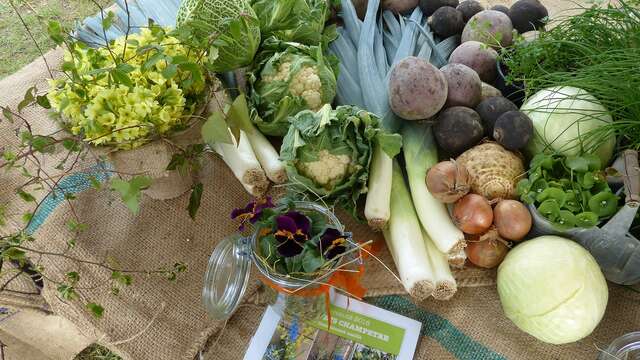 Le Noyer - Grand potager bio