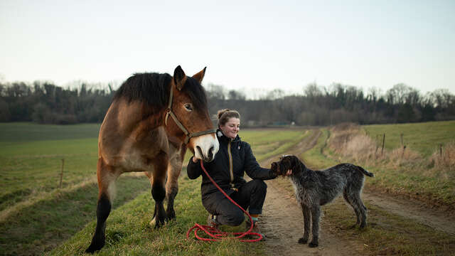 Domaine de l'Altbach