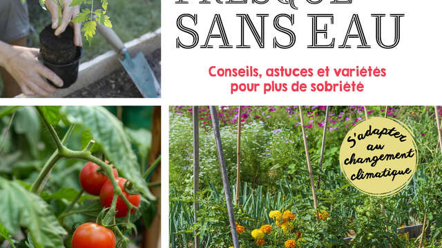 Conférence : Des tomates presque sans eau