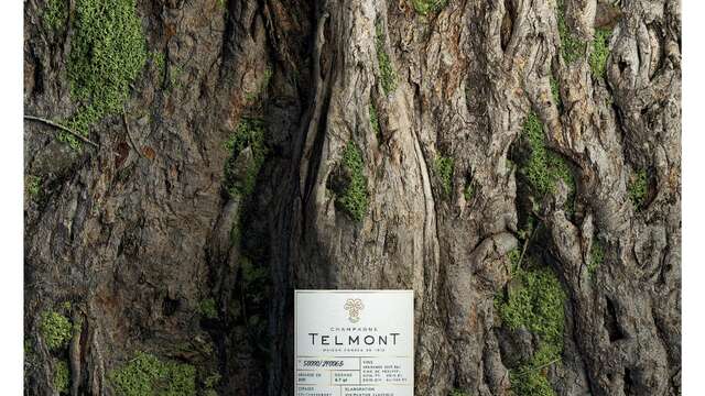 Champagne Telmont