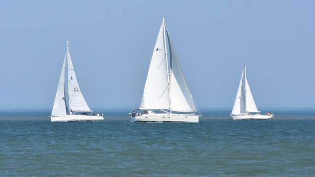 Régate "L'estivale"