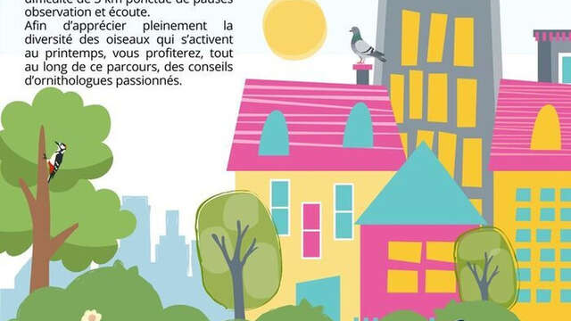 A l'écoute des oiseaux des parcs urbains et des bords de Marne