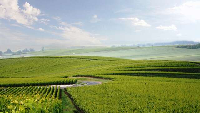 Champagne Yveline Prat