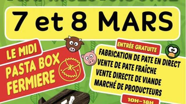 Fête des pâtes