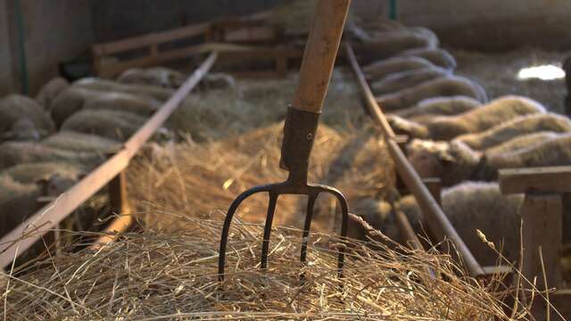 Ferme de la Genevroye