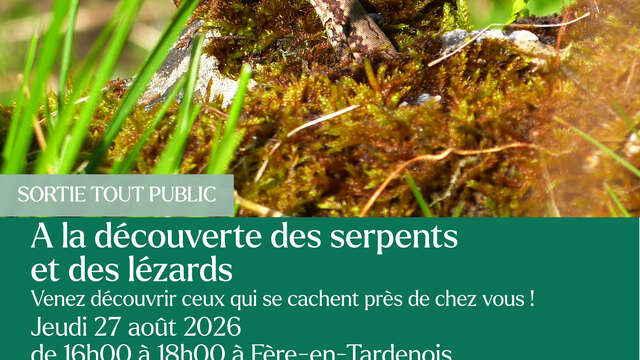Balade à la découverte des serpents et des lézards