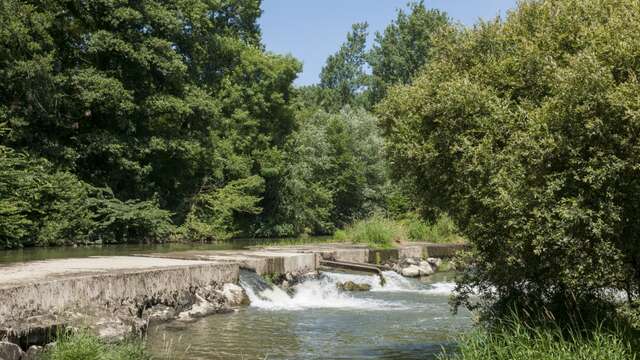 La rayère d'Alaincourt
