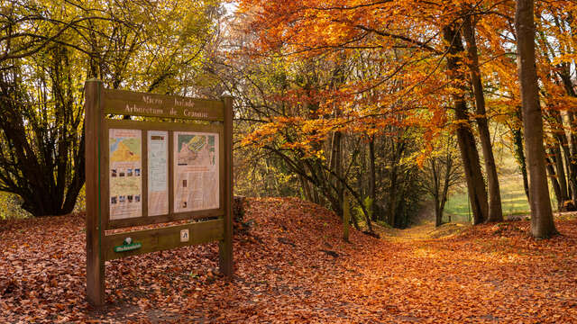 Le Chemin de Saint Rémi