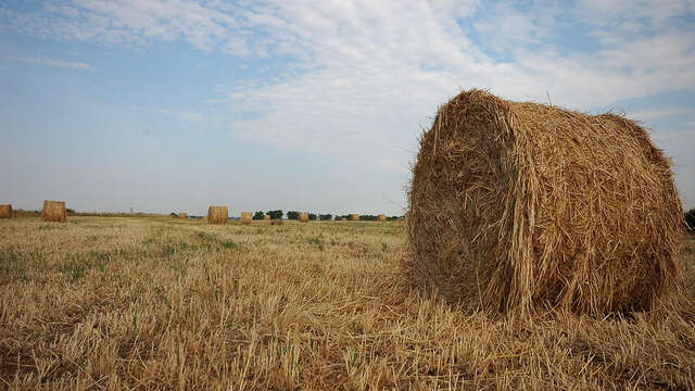 Le belvédère de la Serre