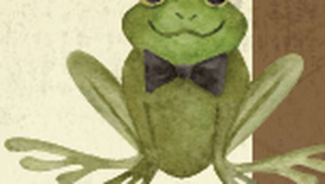 Dans les yeux des crapauds