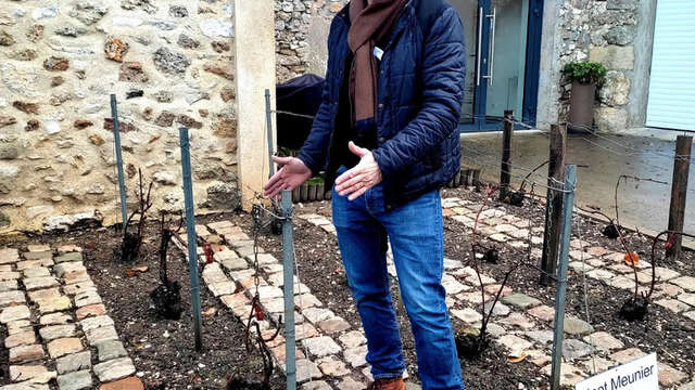 Accueil sur la propriété & espace sensoriel du champagne Lévèque-Dehan