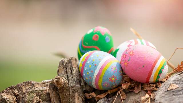 Chasse aux oeufs de Pâques