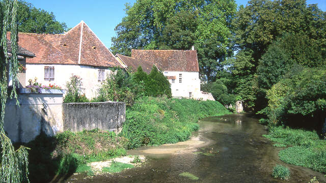Au bonheur des bois et des papillons