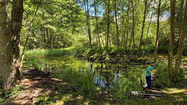 Sortie nature à Neuville-sur-Ailette : "Les dents de la mare"