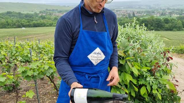 Domaine Mallet