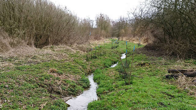 Sortie nature à Etouvelles : "Retour à l’état naturel de l’Ardon"