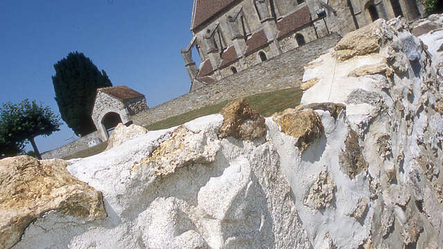 La rose sur la Marne