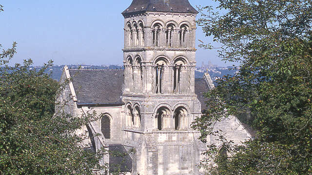 Une histoire de la vigne