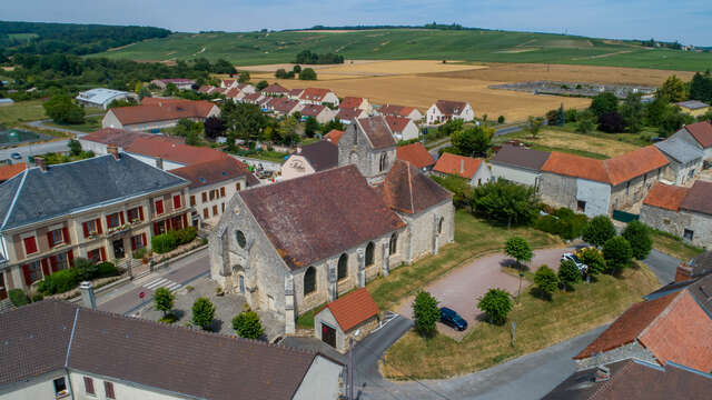 La pétillante demoiselle