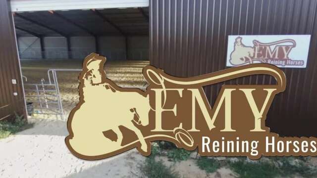 EMY REINING HORSES : Stages Poney et Stages Cheval pour tous !