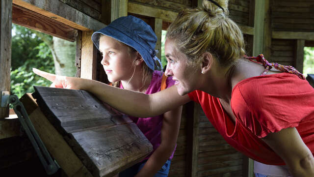 Avec les oiseaux de l'Ailette